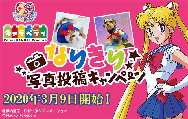 kampania Petio, zwierzęta w strojach wojowniczej i Sailor Moon