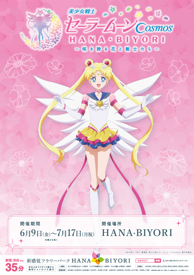 grafika z Eternal Sailor Moon