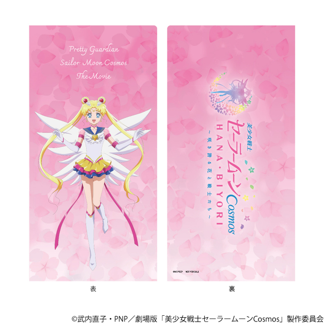 etui sprzedawane z biletem wzór z przodu i z tyłu