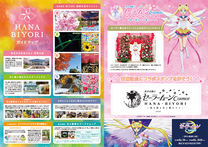 plansza informacyjna