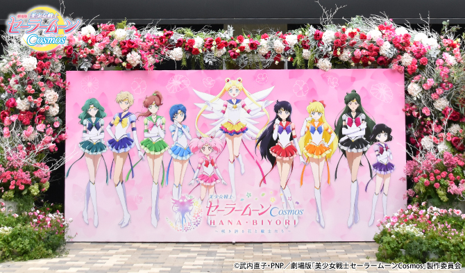 punkt fotograficzny ze wszystkimi wojowniczkami