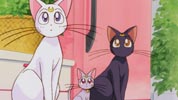 Luna, Artemis i Diana