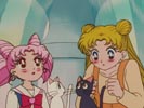 Luna i Artemis z Usagi i Chibiusą